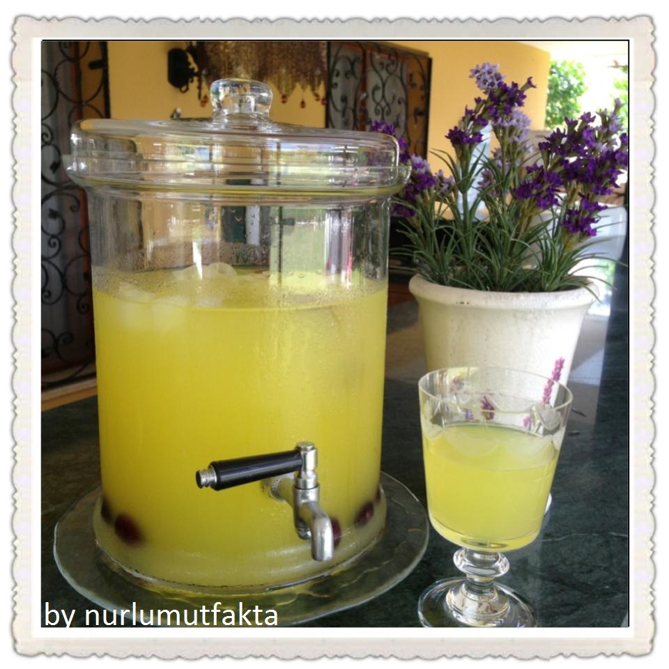 EV YAPIMI LİMONATA Nurlumutfakta